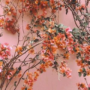 国产激情av一区二区三区
